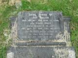 image of grave number 314487